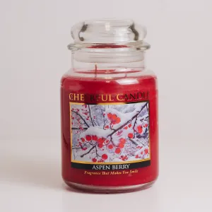 Aspen Berry - 24 oz Cheerful Candle