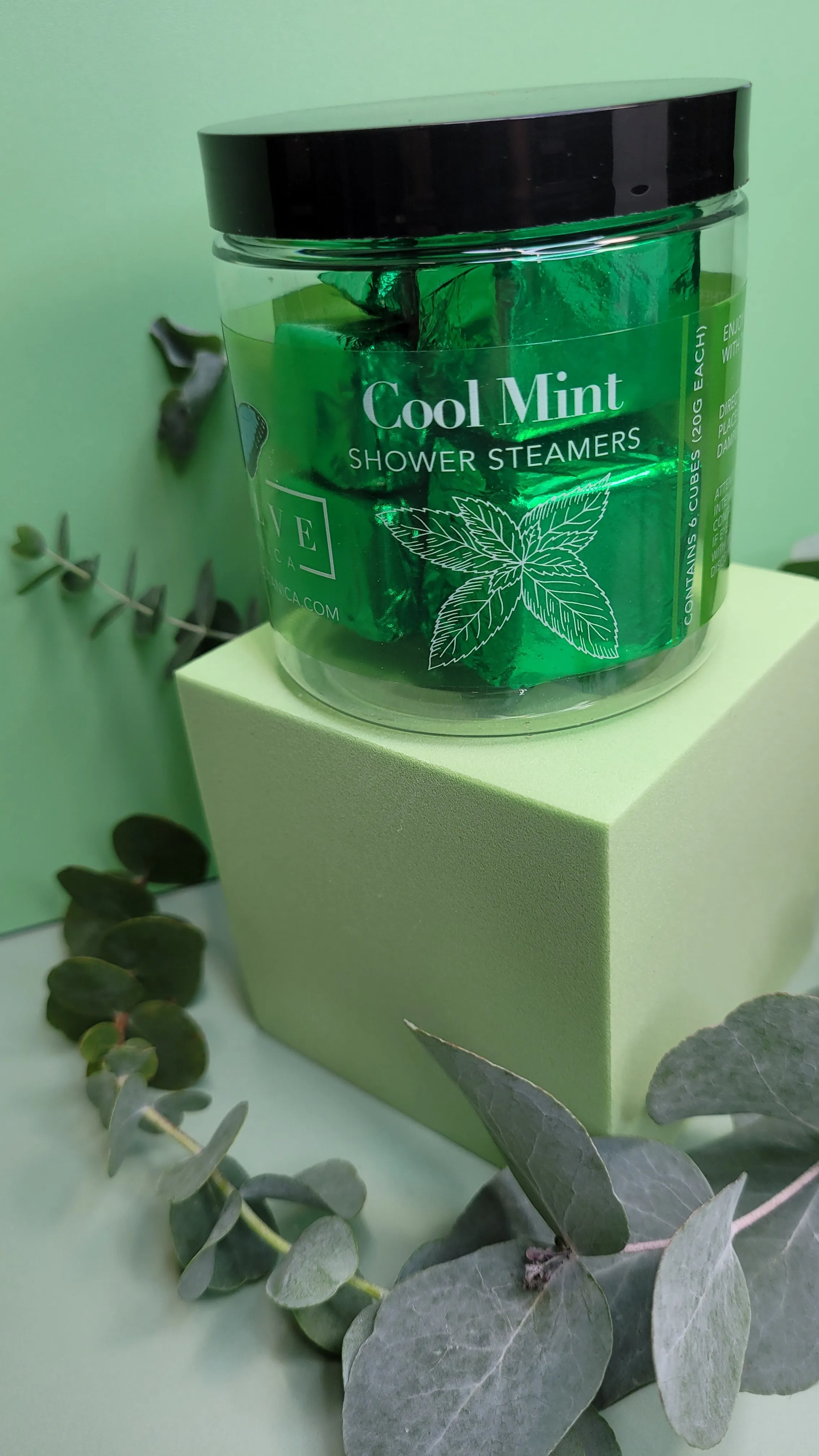 Eucalyptus & Mint Bundle