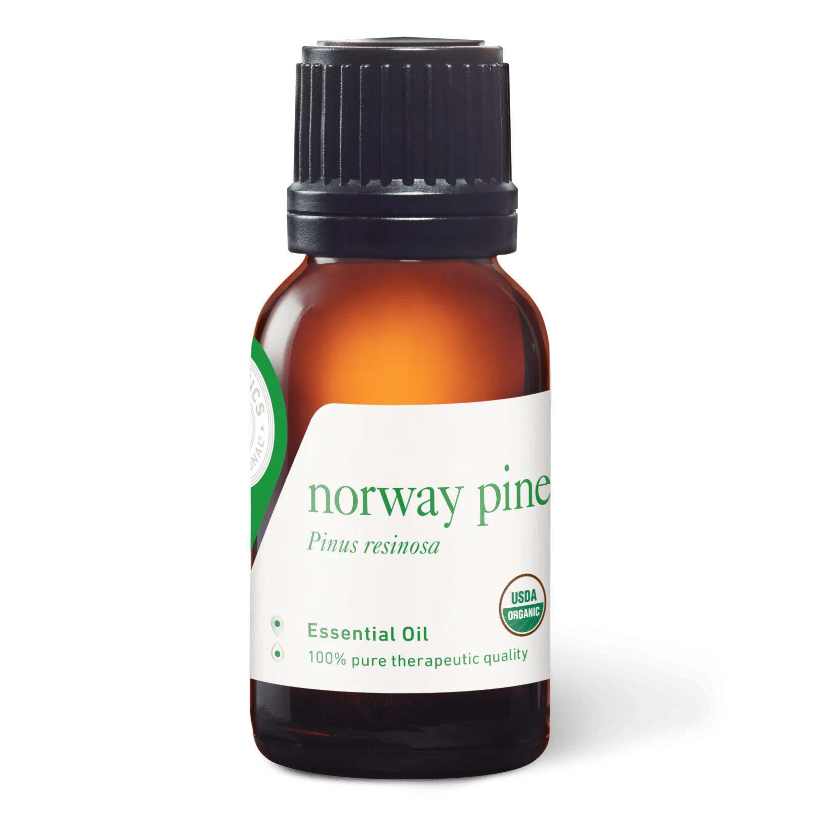 Norway Pine Essential Oil