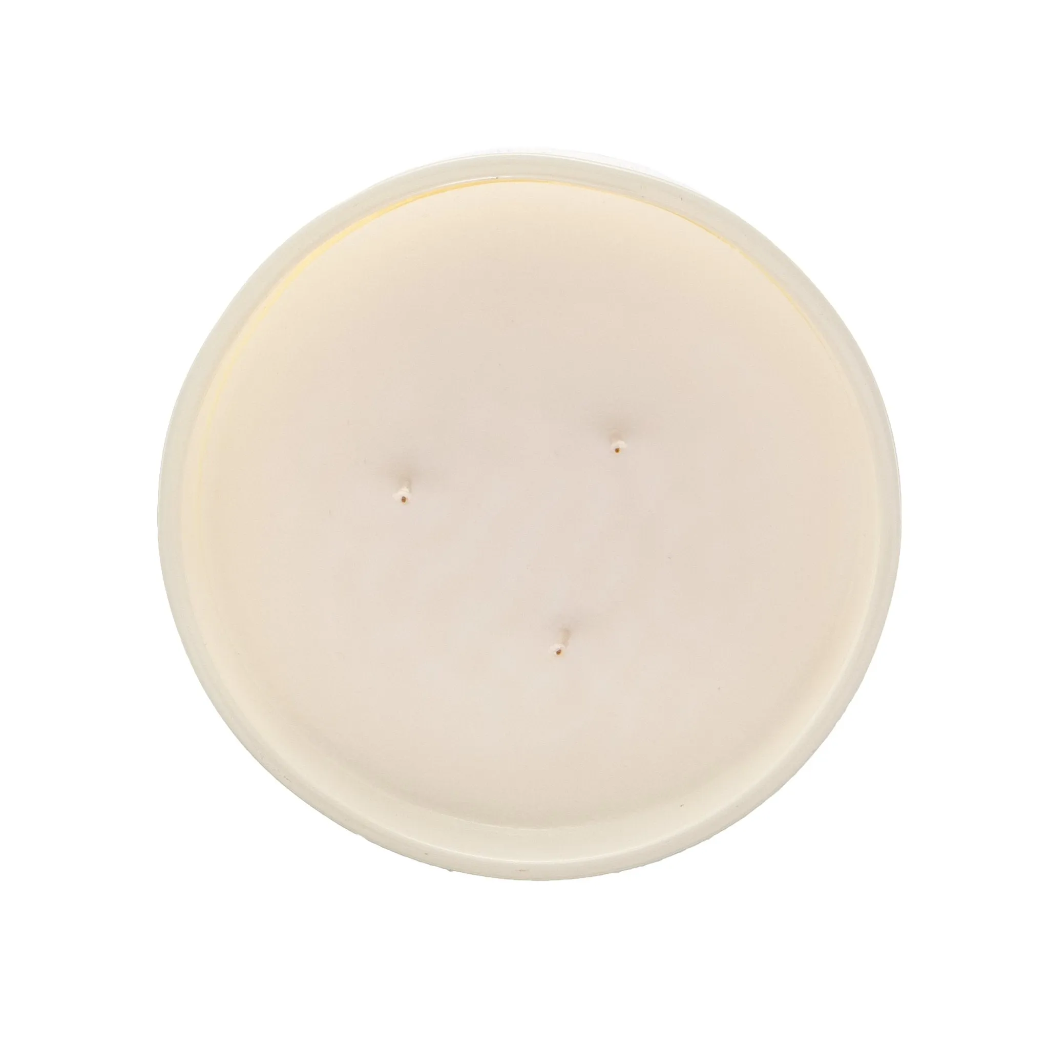 Pier 1 Home Spice 14oz Filled 3-Wick Candle