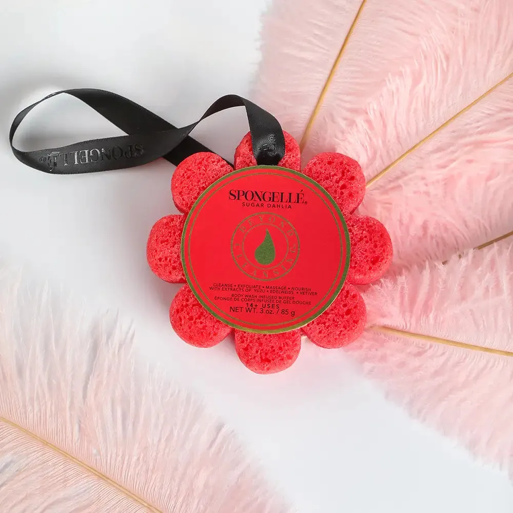 'Sugar Dahlia' Wild Flower Body Wash Buffer