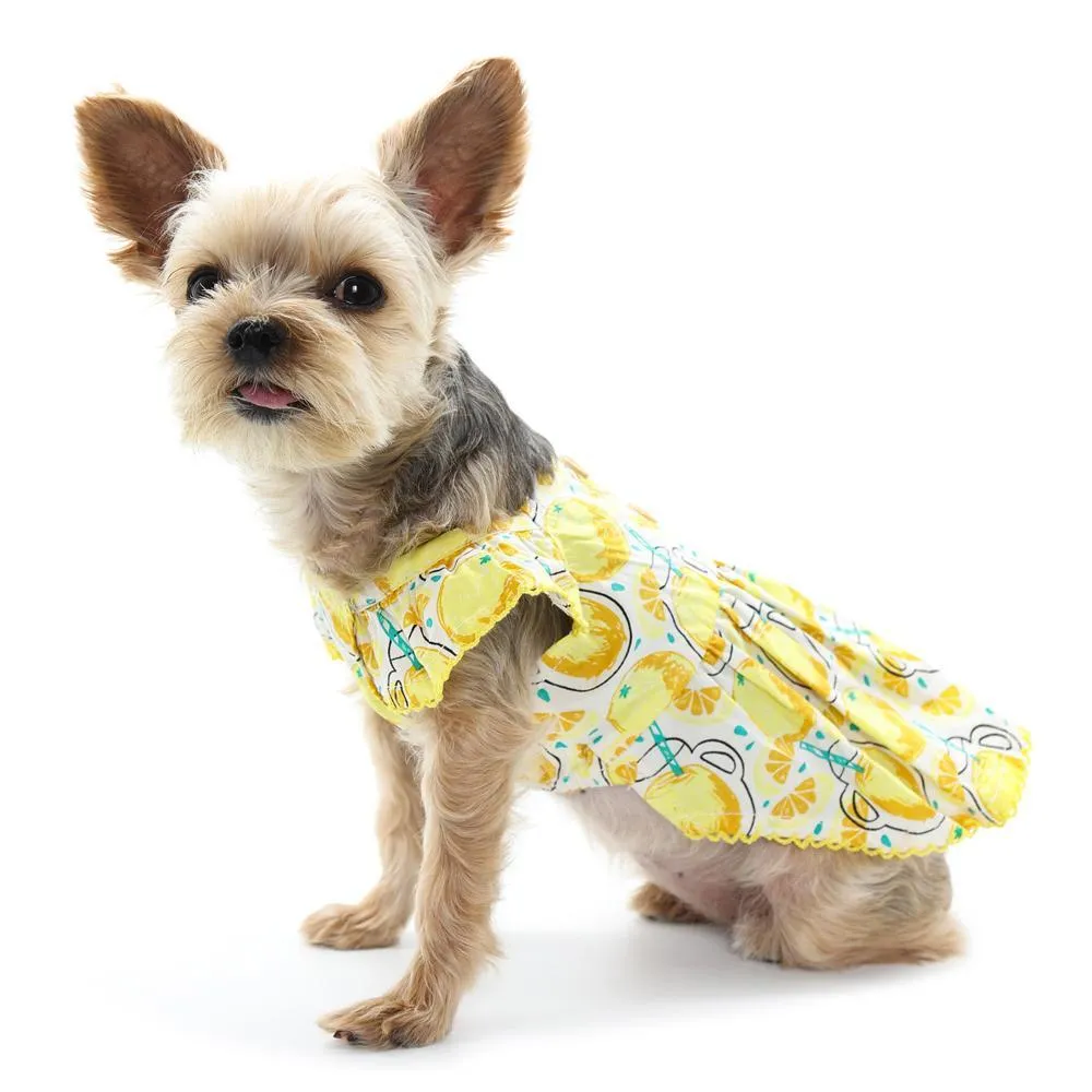 Sweet Lemonade Dog Dress
