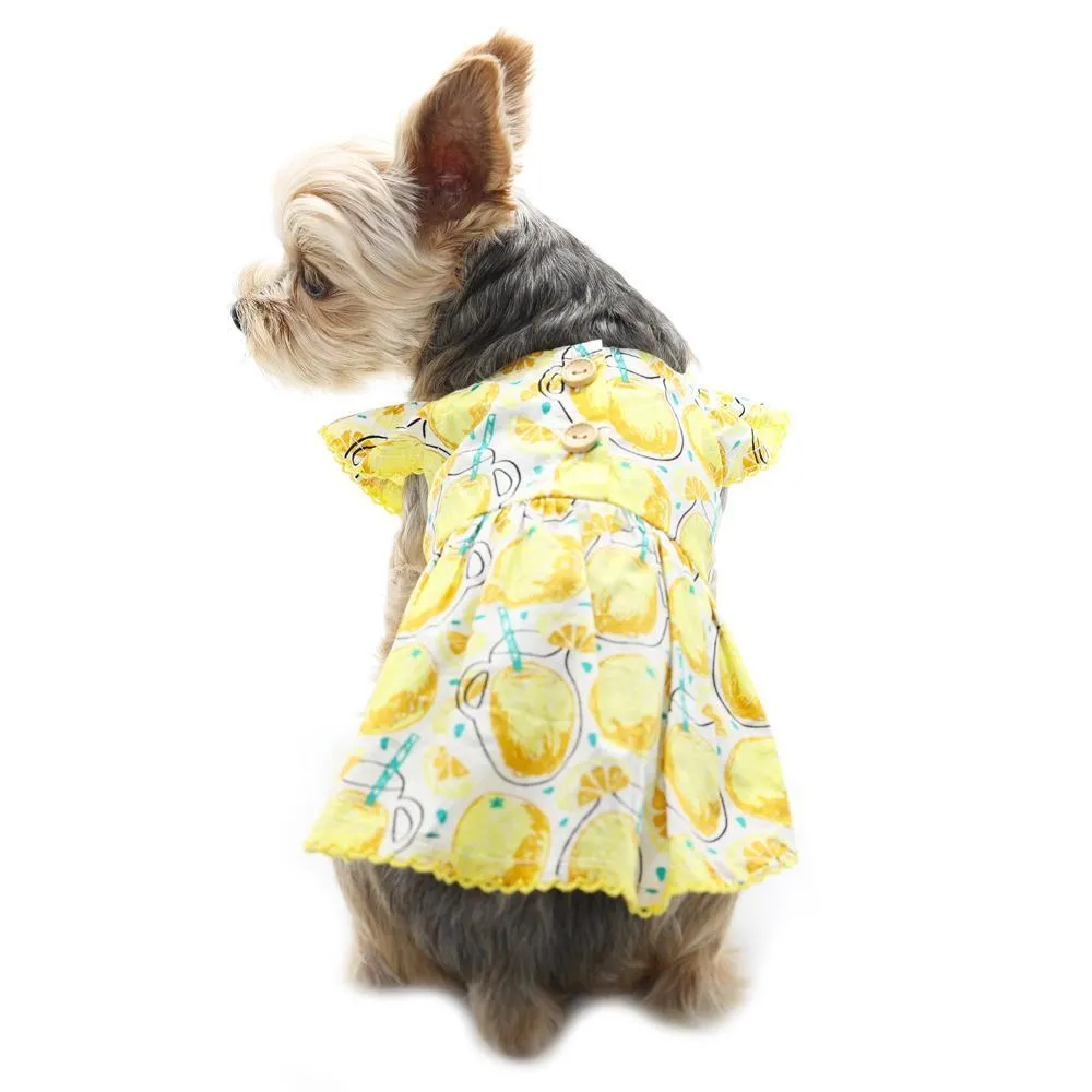 Sweet Lemonade Dog Dress