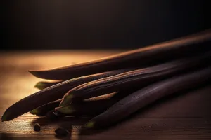 Warm Vanilla Sugar Fragrance Oil